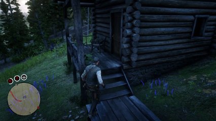 Red Dead Redemption 2 Pc Gameplay Part 3