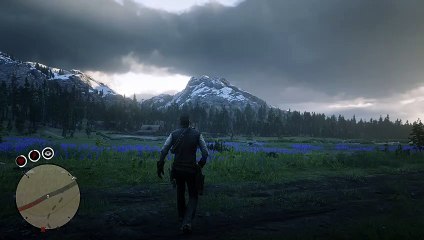 Red Dead Redemption 2 Pc Gameplay Part 5