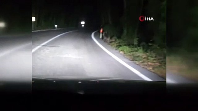 Önüne çıkan ayıyı aracıyla kara yolundan böyle kovaladı