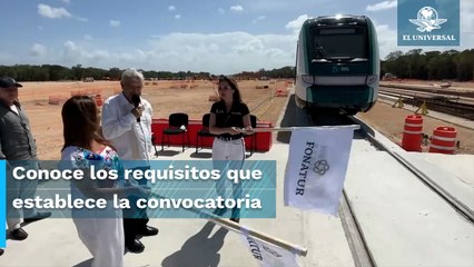 ¿Buscas trabajo? Lanzan convocatoria para obtener un empleo en el Tren Maya