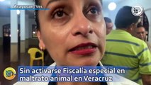 Sin activarse Fiscalía especial en maltrato animal en Veracruz