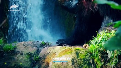 Wild Assassins | show | 2023 | Official Teaser