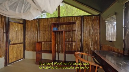 Renovación Salvaje: Cambio Radical