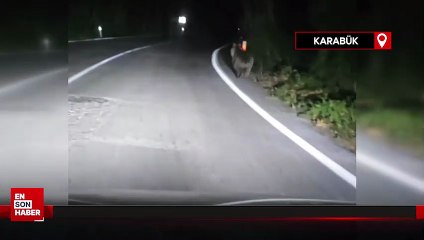 Karabük'te önüne çıkan ayıyı aracıyla kovaladığı anları kaydetti