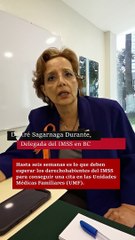 Hasta seis semanas de espera para conseguir cita en el IMSS