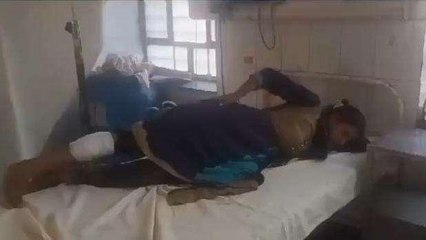 धौलपुर: पागल कुत्ते ने मचाया आतंक, आधा दर्जन से अधिक महिला व बच्चों को काटकर किया घायल