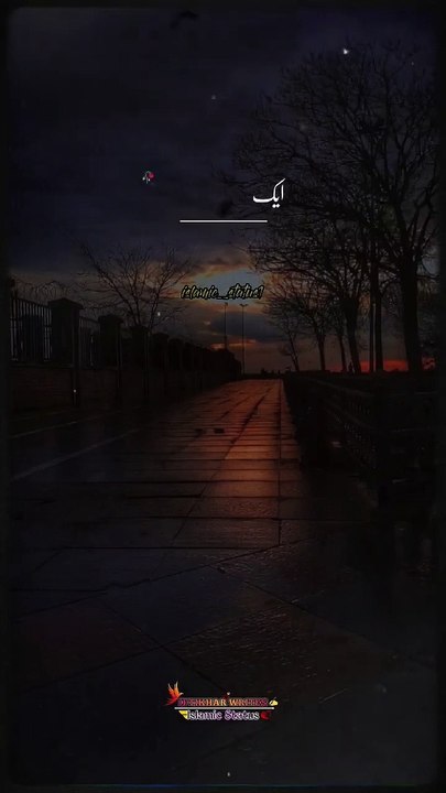 Bardash Karna Seek Le ✨️   Molana Tariq Jameel Bayan #shorts #short #shortvideo #youtubeshorts
