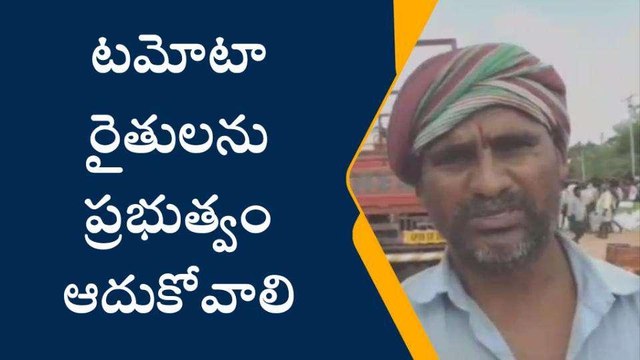 కర్నూలు జిల్లా: ఎర్ర పండు రైతును ఏడిపిస్తోంది.. ధర లేక..!