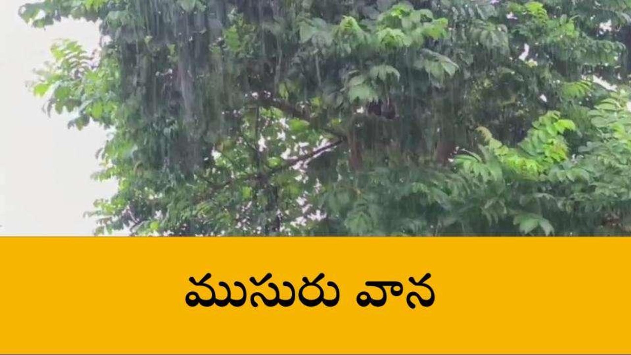సంగారెడ్డి: జిల్లా ఎడతెరిపి లేకుండా కురుస్తున్న వర్షం