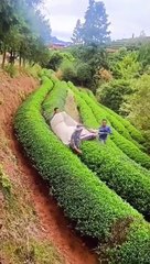 Now People Are Working Smarter