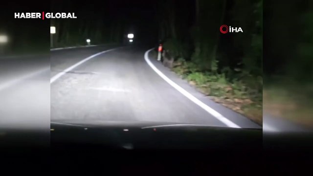 İlginç anlar: Önüne çıkan ayıyı aracıyla kara yoluna dakikalarca kovaladı