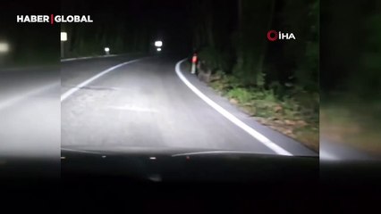 İlginç anlar: Önüne çıkan ayıyı aracıyla kara yoluna dakikalarca kovaladı