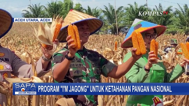 TNI Kodam Iskandar Muda Galakkan Program Im Jagong untuk Ketahanan Pangan Nasional