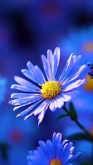 Dubai: New designs on roundabouts