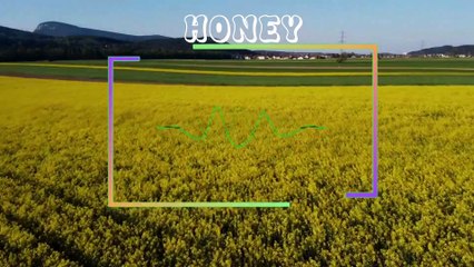 New Song NSC: Daniel Levi - Honey