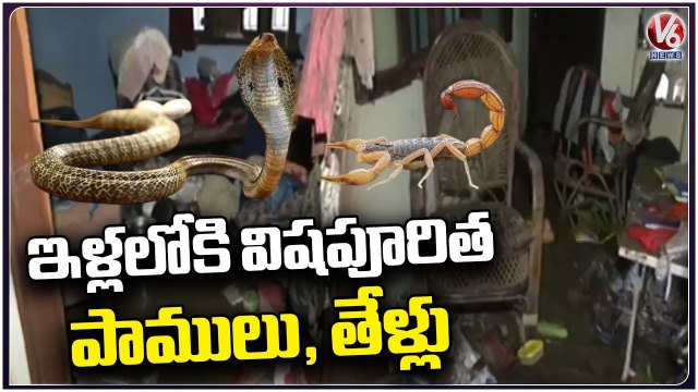 Public Facing Huge Problems With Heavy Rains In Nagpur _ Maharastra _ V6 News