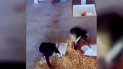 Şanlıurfa'da Hırsızlık Çetesi Yakalandı