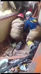 Cadela desapareceu após explosão de armazém de pólvora na Colômbia