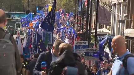 Download Video: Manifestantes anti-Brexit piden en Londres la reincorporación del Reino Unido a la UE