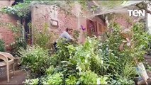 سيدة تُحوّل حديقة منزلها إلى مشتل يضم عشرات النباتات بالمنوفية