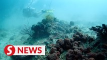 Govt, volunteer divers join hands for underwater clean-up off KK waters