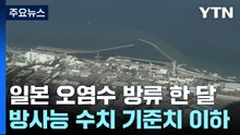 오염수 방류 한 달...中 "日 수산물 수입금지 적법" / YTN