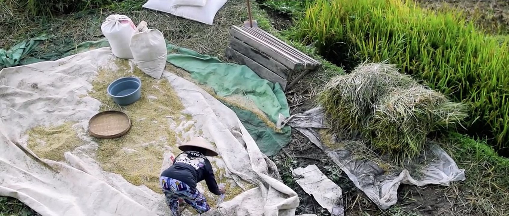 4K Nature Cinematography nature photography