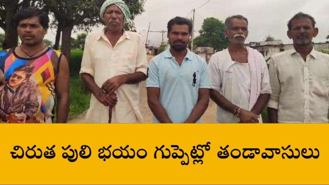 మెదక్: వ్యవసాయ పోలాల వద్ద చిరుత పులి సంచారం