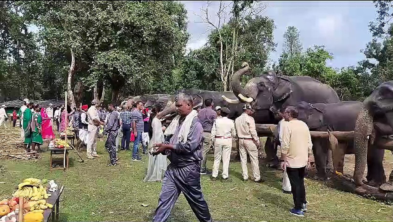 वन्य प्राणियों के साथ अब तितलियों व अन्य जीवों...