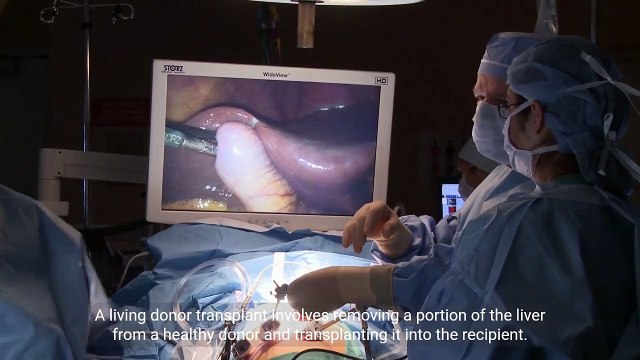 Liver Transplant A Life Saving Procedure (4 Minutes Microlearning)