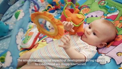 The Journey from Infancy to Toddlerhood  Developmental Changes and Milestones