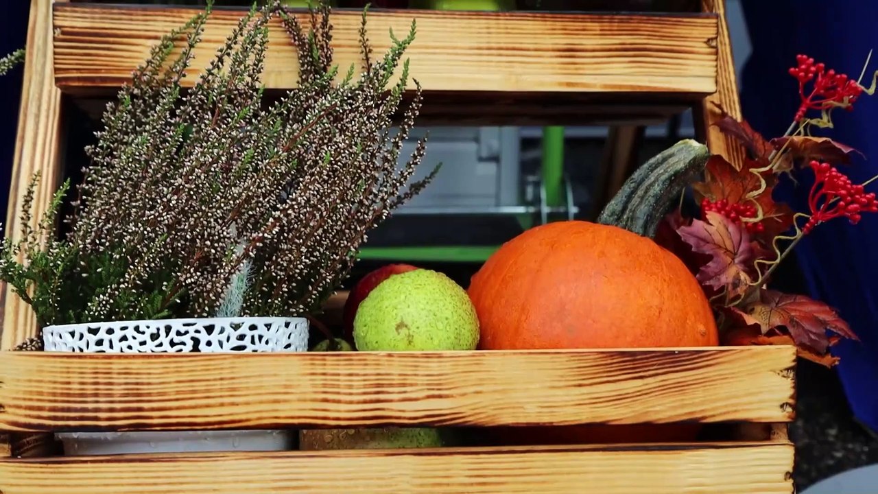 Mobilna strefa zdrowia w Pasłęku: Bezpłatne badania dla wszystkich