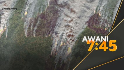 Lebih 166,000 kilometer persegi kawasan hutan terjejas kebakaran