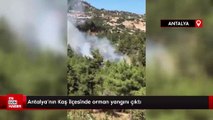 Antalya'nın Kaş ilçesinde orman yangını çıktı