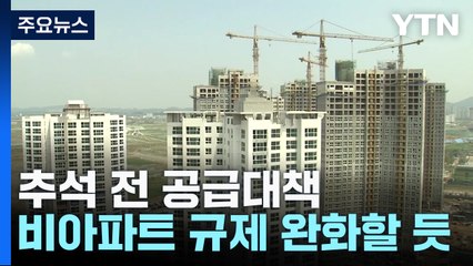 정부, 추석 전 공급 대책..."비아파트 규제 완화" / YTN