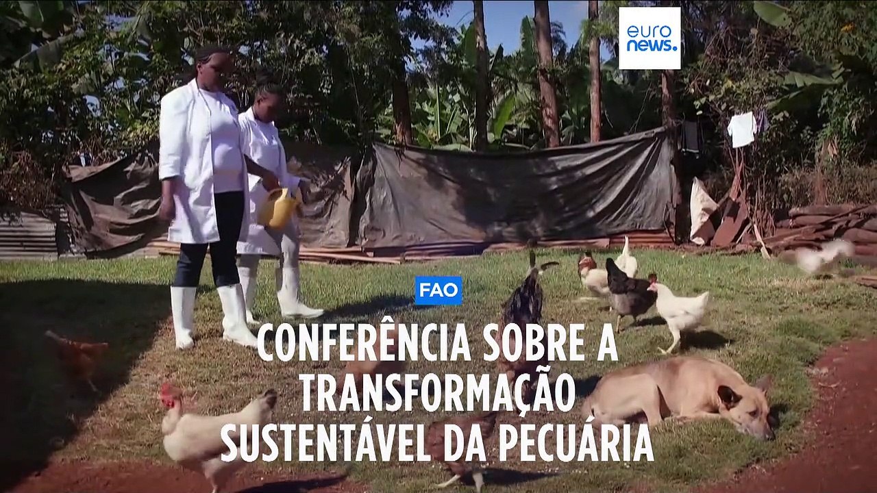 FAO realiza primeira Conferência Mundial sobre...