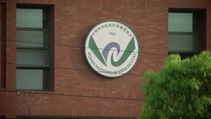 '코로나 유출설' 中 연구소 "새로운 코로나 발병 위험 높아" / YTN