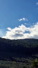 Скачать видео: Incendio sul Monte Serra, Canadair in azione