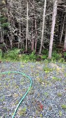 Woman Hand-Feeds Wild Blue Jay