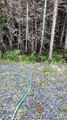 Woman Hand-Feeds Wild Blue Jay