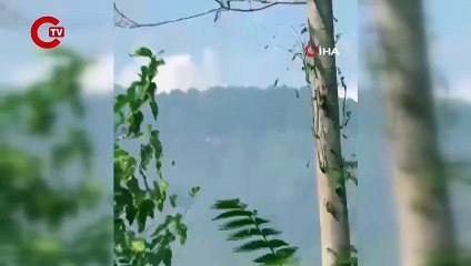 Sultangazi'de orman yangınında kundaklama iddiası