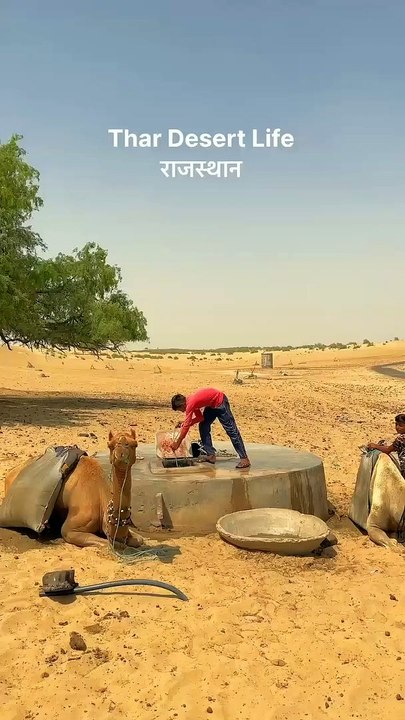 VID_1695566572167