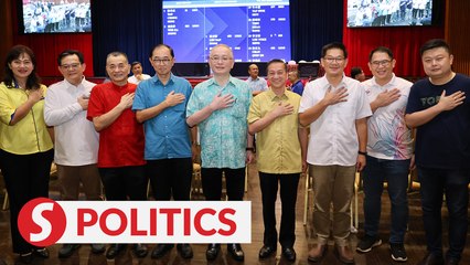 下载视频: MCA polls: Just a coincidence that president, Youth chief, Wanita chief come from Johor, says Dr Wee