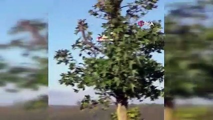 İstanbul'da orman yangını! Bu görüntüler olay oldu