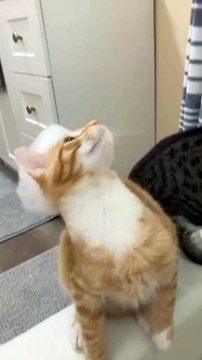 Videoo tv| Influence Lifestyle|Videoo tv Haberler.com| The Fame |Smile Wanted 90sport |VOICI L'Équipe Sports |Local Media |Influence News| Français Tele-Loisirs|fr Discovery footmercato Purepeople| Sureview tv|CNEWS| la chaine| L'Équipe |letribunaldunet |