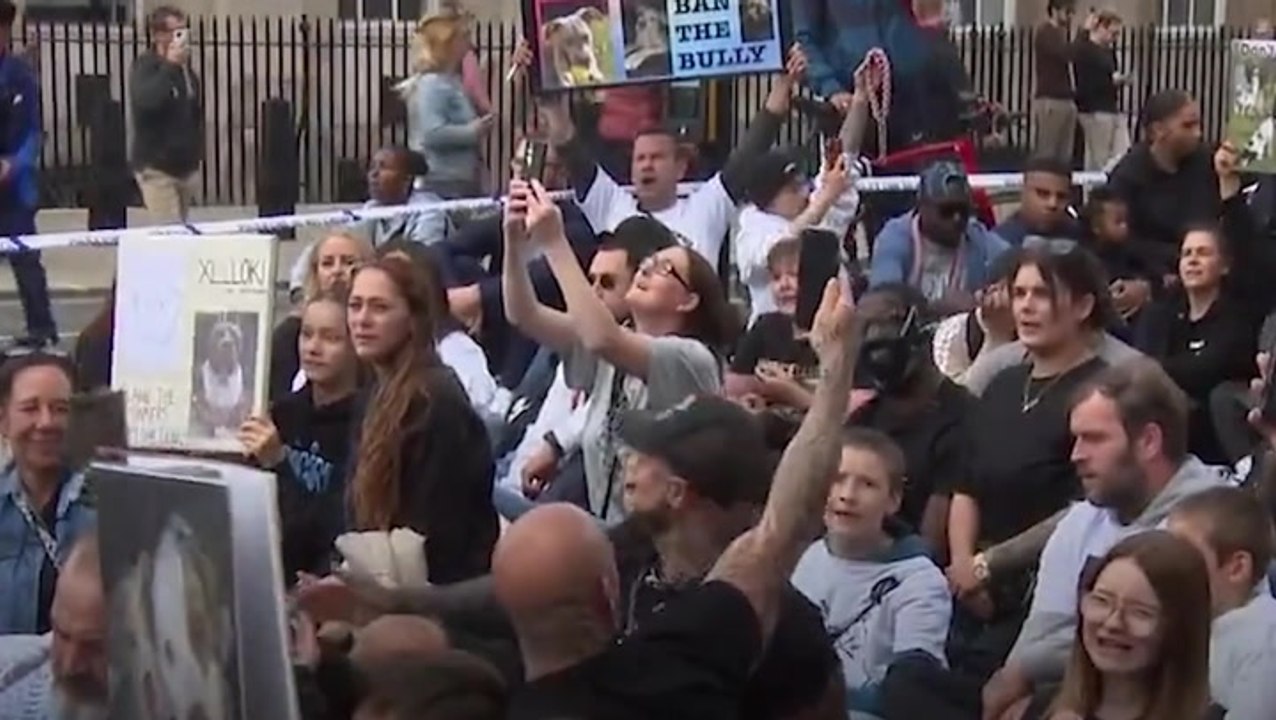Watch: XL bully owners rally in central London in protest against prime minister’s proposed ban