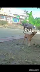 Funny memes about Things that no one can do | Funny shorts | Tag to your friends