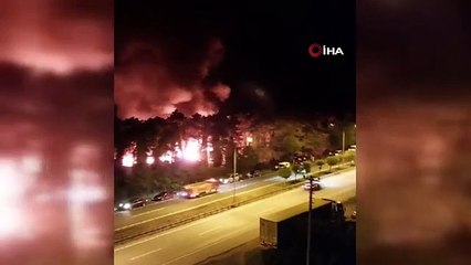 Ünye'de çıkan yangında 8 bungalov ev küle döndü