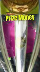 ICC Men's Cricket World Cup 2023 Prize Money