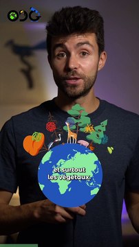 La masse de l’humanité est plus lourde que la masse des autres êtres vivants !